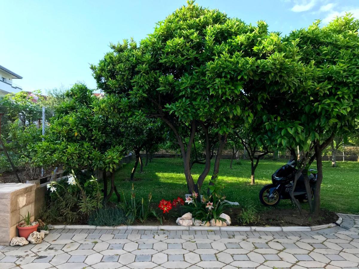 Apartments Kraja 乌尔齐尼 外观 照片