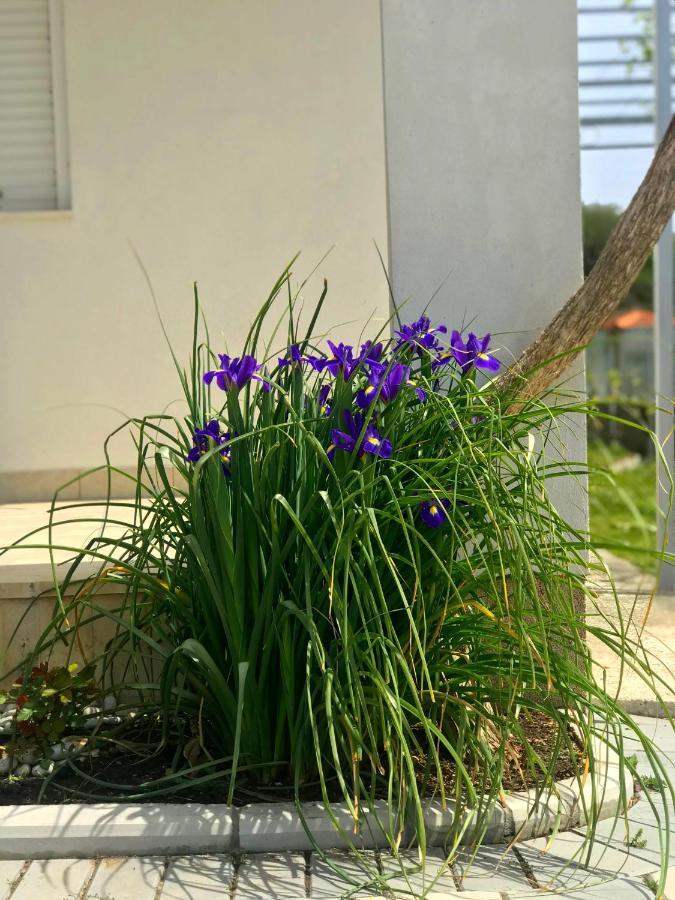 Apartments Kraja 乌尔齐尼 外观 照片